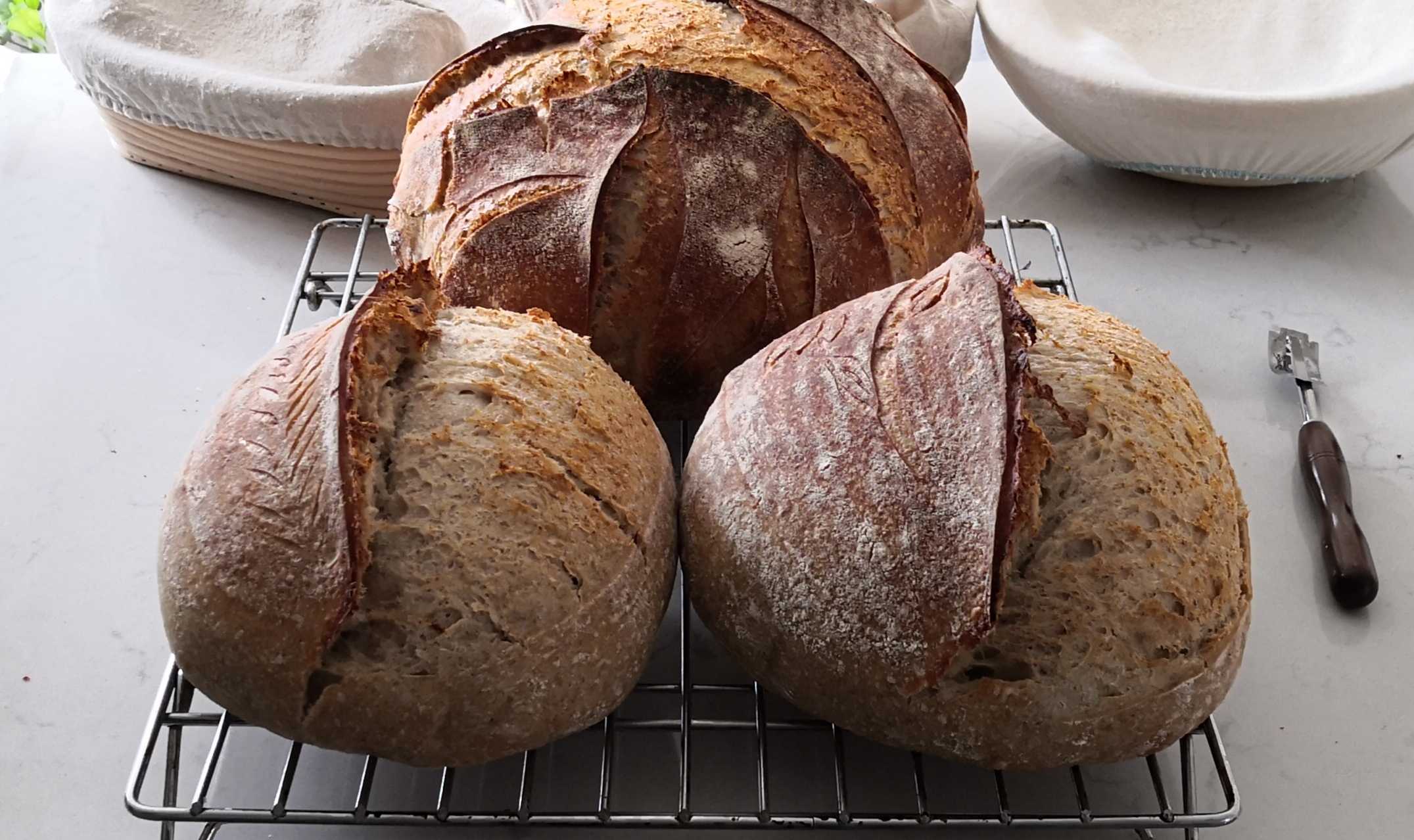 Here are some of my bakes (Source: Tomasz Ptak)